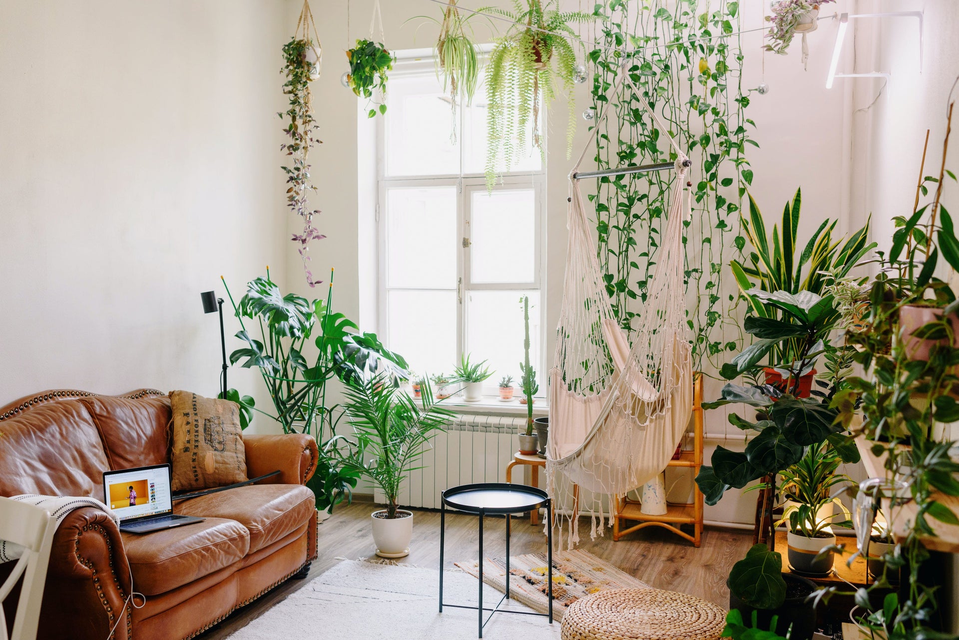 Best Color Schemes for Your Home Interior in 2024 - Bella Virtual Staging