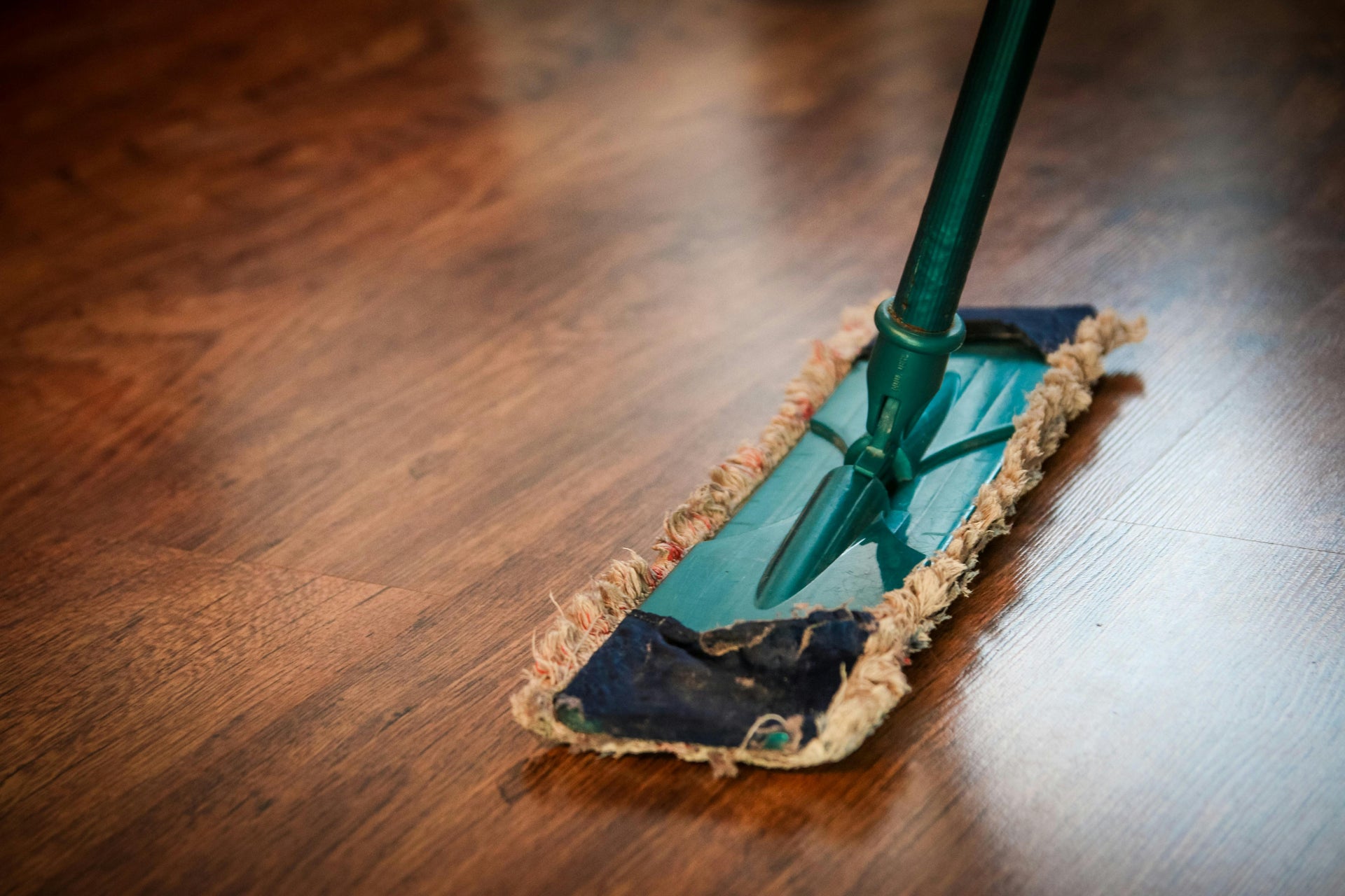 Top 5 Tips for Spring Cleaning 2024 - Bella Virtual Staging